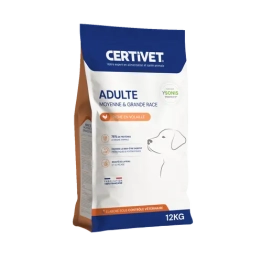 Chien adulte - moyenne et grande race