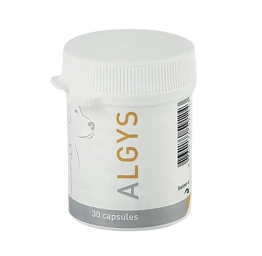 ALGYS