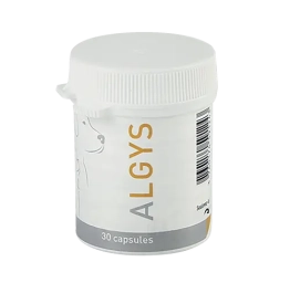 ALGYS