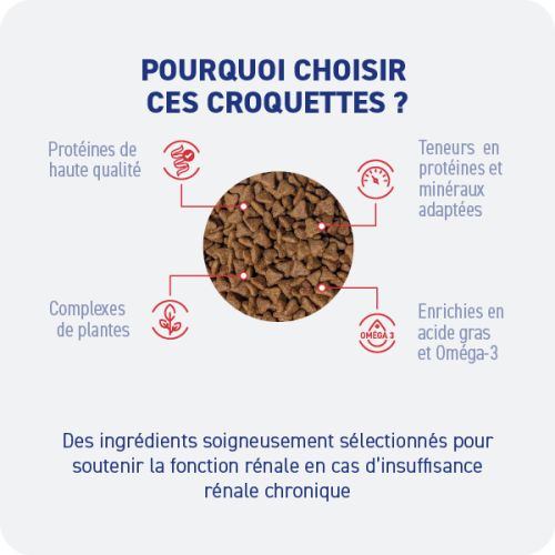 Croquette diététique - Rénal Chat Croquette diététique - Rénal Chat - Image 2