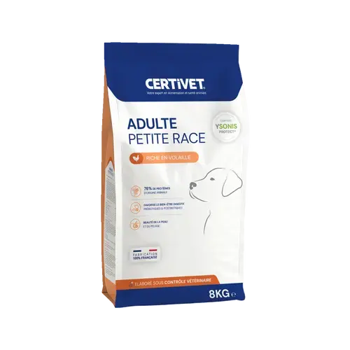 Chien adulte - petite race Chien adulte - petite race - Image 4