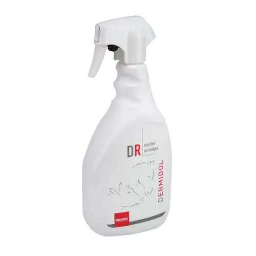 DERMIDOL - Miniature 1