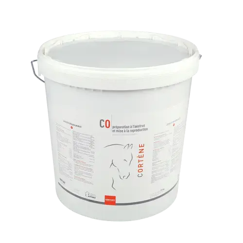CORTENE CORTENE - Image 4
