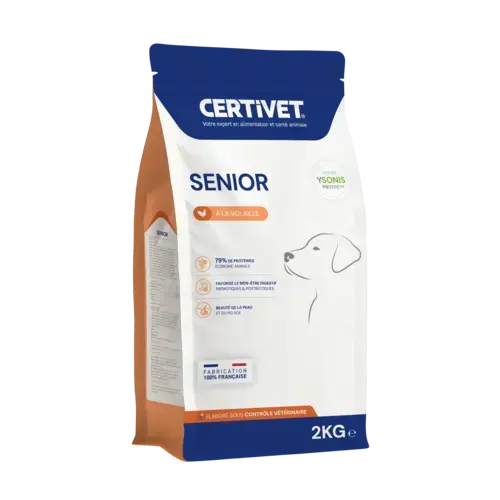 Chien senior - Miniature 4