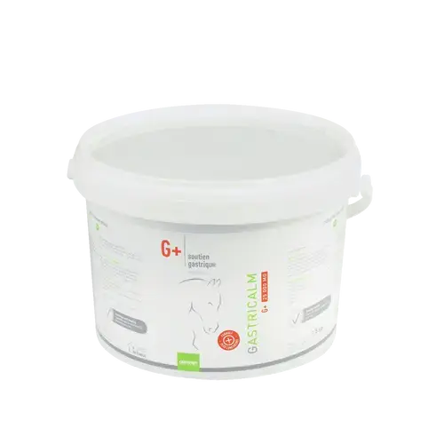 GASTRICALM G+ 25 000 MG