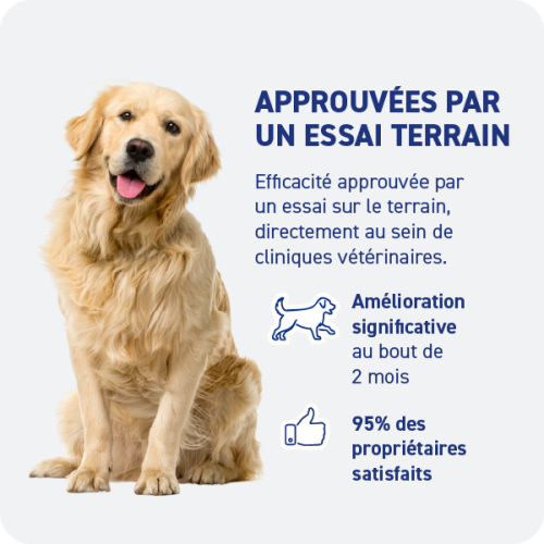 Croquette diététique - Articulation Chien - Miniature 5