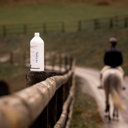 VETOXIL SOLUTION - Miniature 3