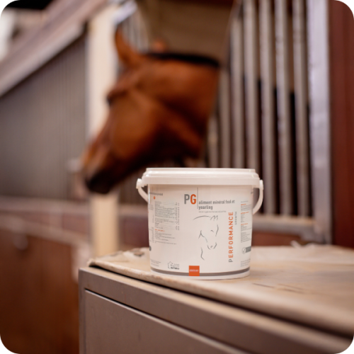 PERFORMANCE GROWTH PERFORMANCE GROWTH - Image 2