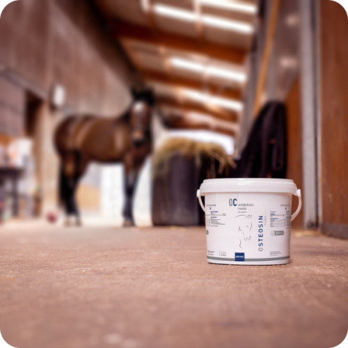 OSTEOSIN CLINIC - Miniature 2