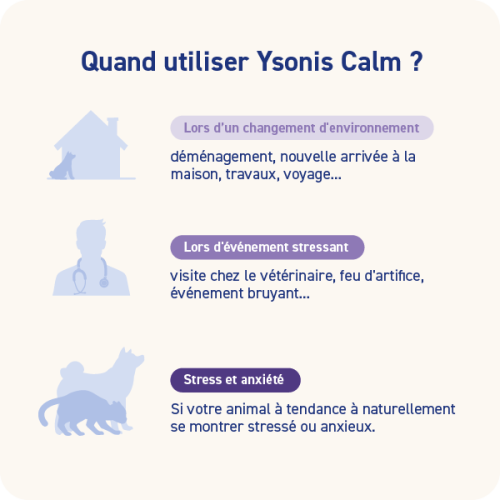 YSONIS CALM - Miniature 4