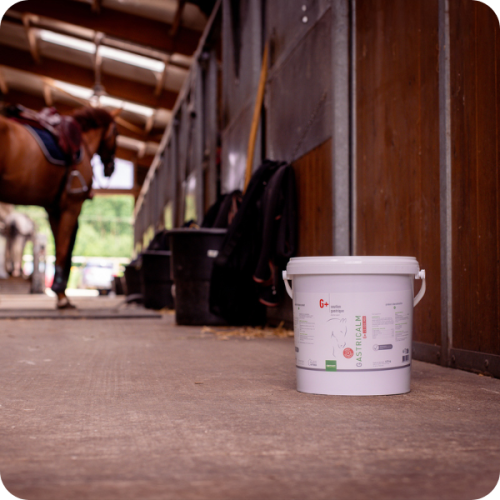 GASTRICALM G+ 25 000 MG - Miniature 2