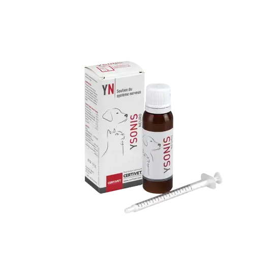 YSONIS NEURO YSONIS NEURO - Image 3