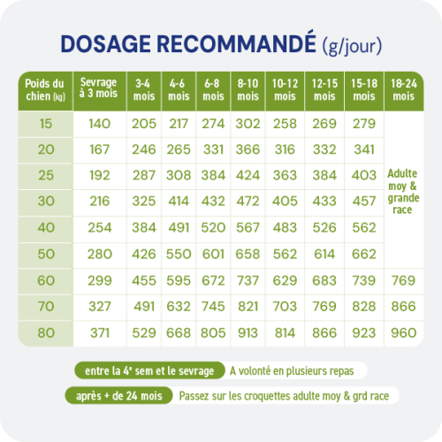 Croquette sans céréales - Chiot moyenne et grande race - Miniature 4