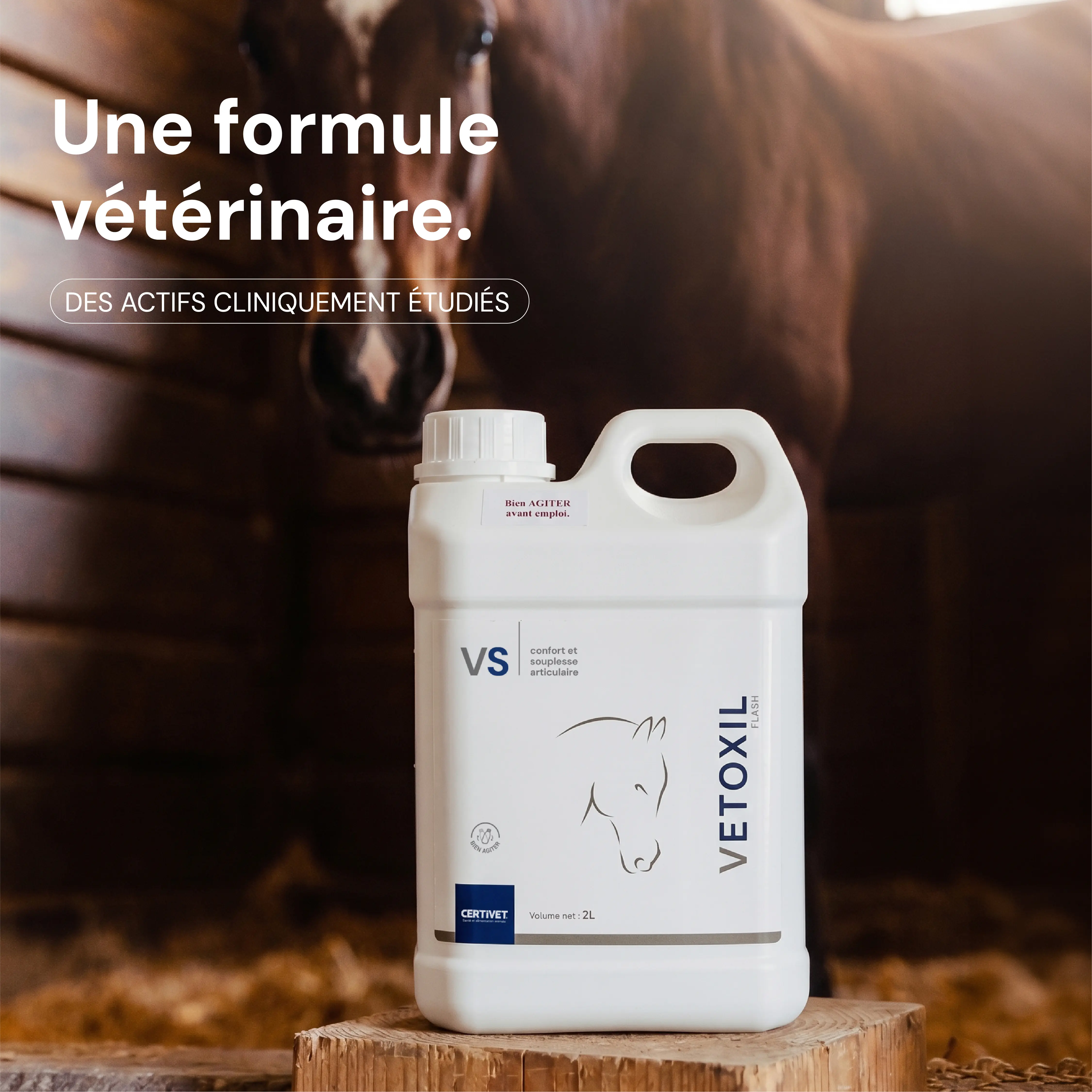 VETOXIL SOLUTION VETOXIL SOLUTION - Image 3