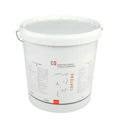 CORTENE - Miniature 3