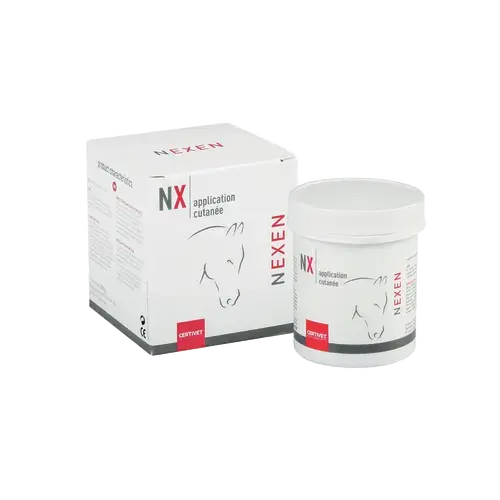 NEXEN NEXEN - Image 1