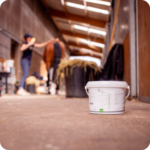 FLOREQUIN GRANULE - Miniature 3