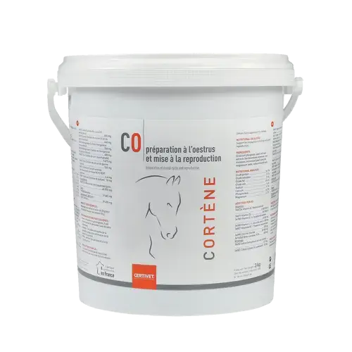 CORTENE - Miniature 4