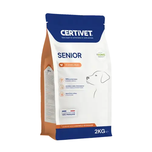 Chien senior - Miniature 1