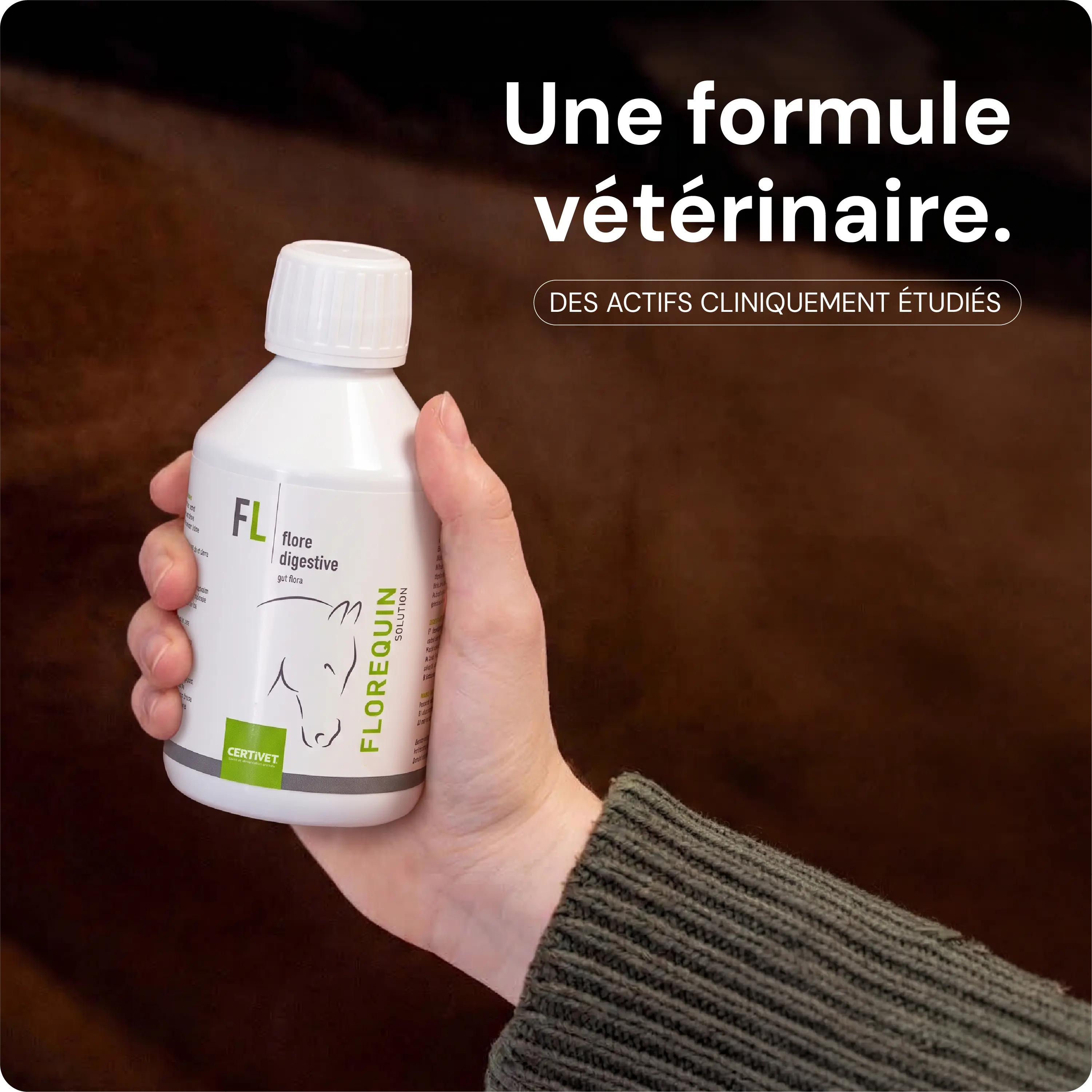 FLOREQUIN SOLUTION - Miniature 3