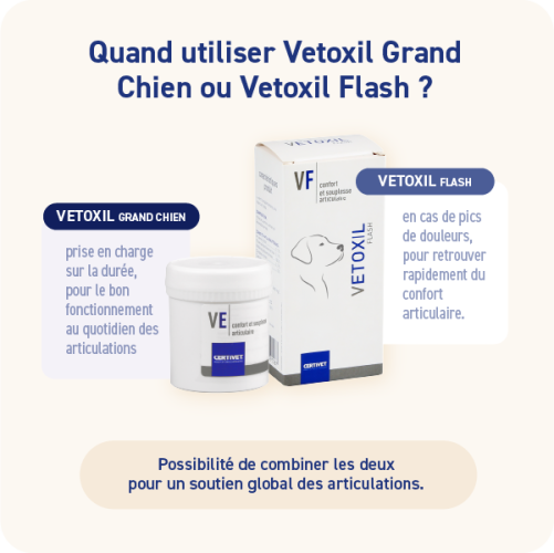 VETOXIL GRAND CHIEN - Miniature 4