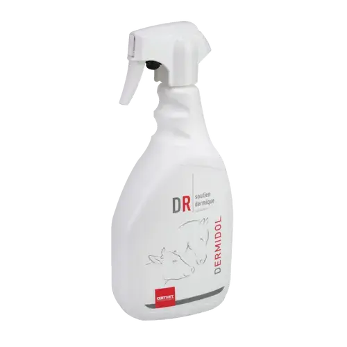 DERMIDOL DERMIDOL - Image 1