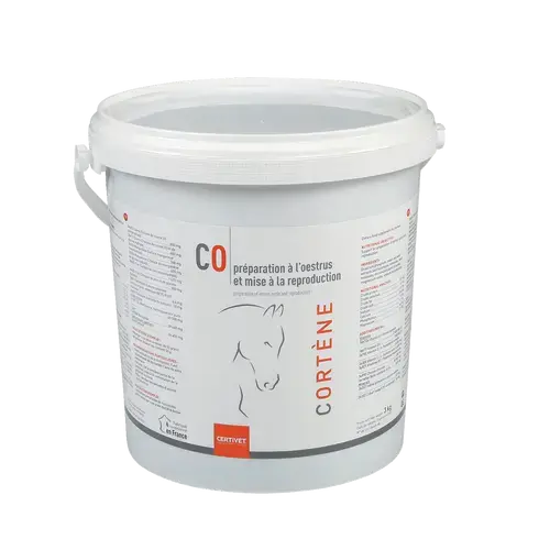 CORTENE - Miniature 1