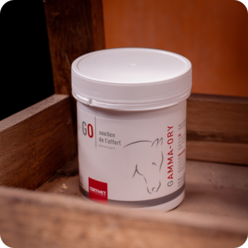 GAMMA ORY - Miniature 2