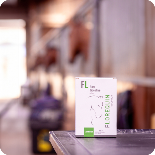 FLOREQUIN SOLUTION - Miniature 3