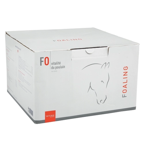 FOALING FOALING - Image 2