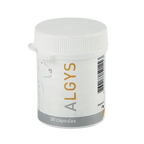 ALGYS