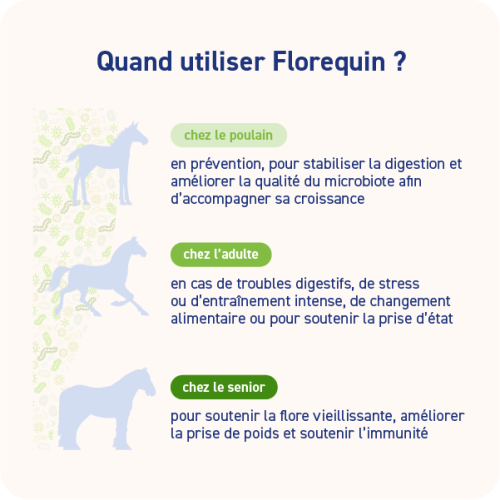 FLOREQUIN GRANULE - Miniature 2