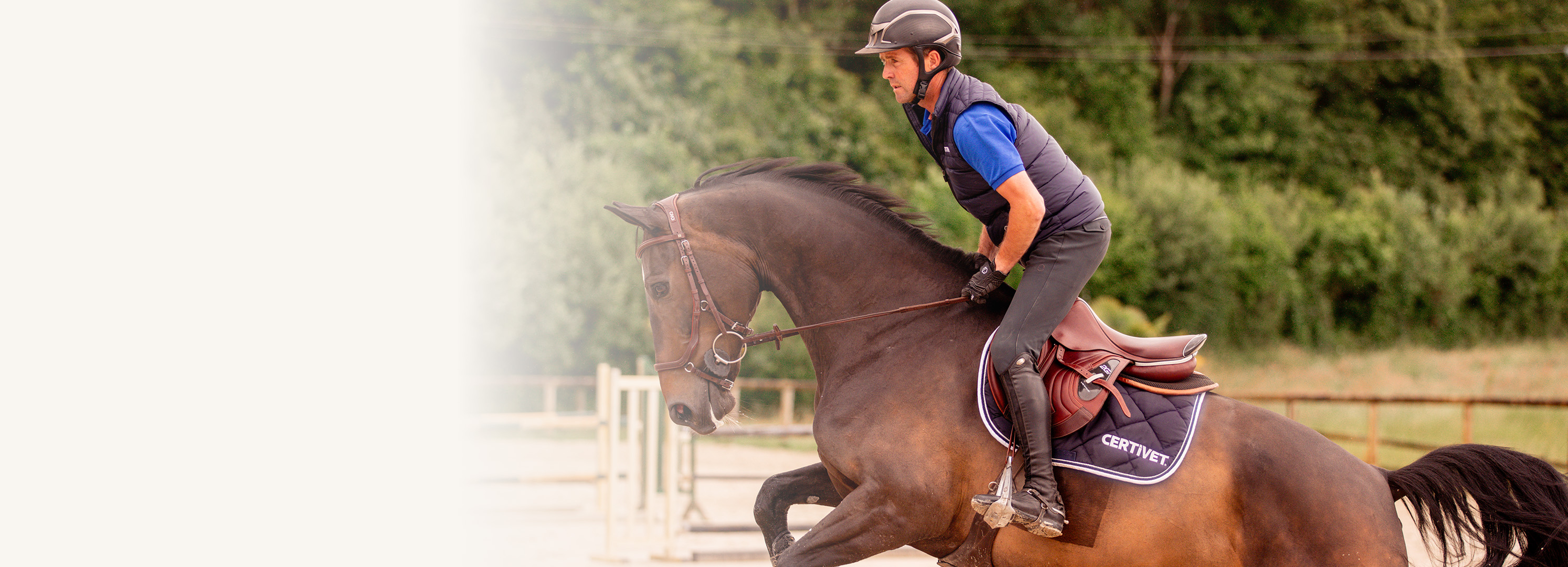 Choisissez la qualité vétérinaire