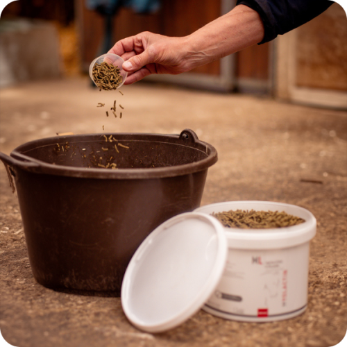 MYOLACTIN GRANULES MYOLACTIN GRANULES - Image 2