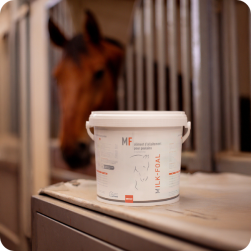 MILK-FOAL - Miniature 2