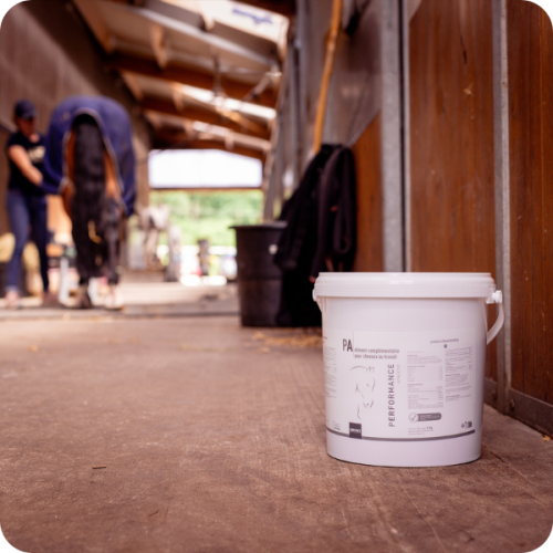 PERFORMANCE ATHLETIC - Miniature 2