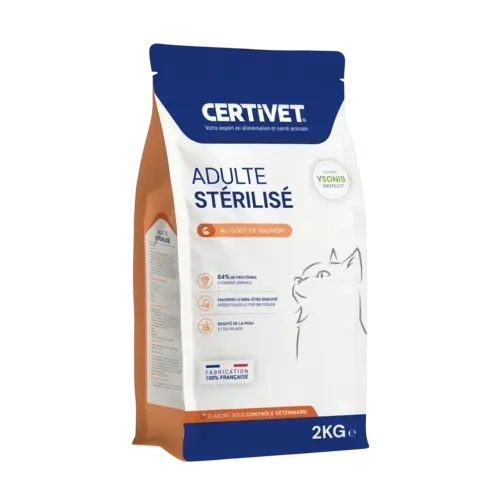 Chat adulte stérilisé