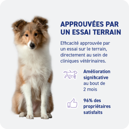 Croquette diététique - Obésité Chien Croquette diététique - Obésité Chien - Image 3