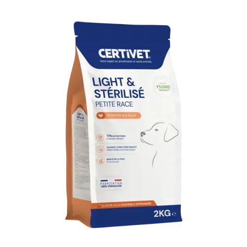 Chien adulte - petite race Chien adulte - petite race