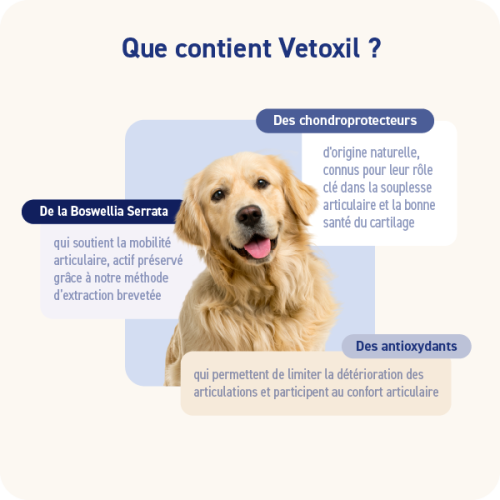 VETOXIL - Miniature 2