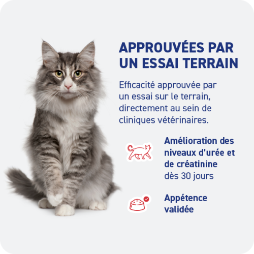 Croquette diététique - Rénal Chat Croquette diététique - Rénal Chat - Image 3