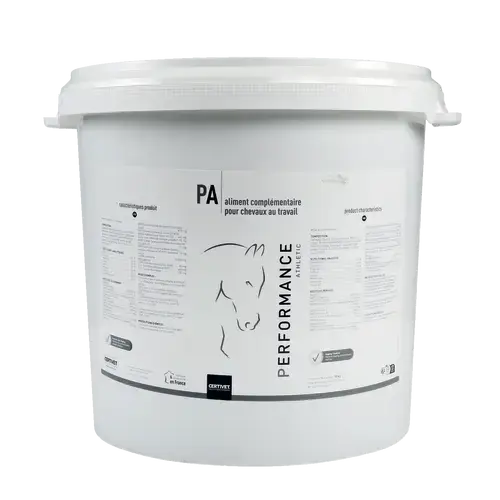 PERFORMANCE ATHLETIC - Miniature 4