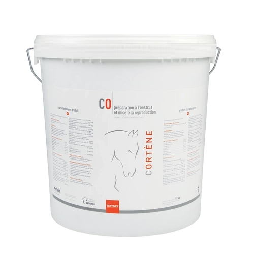 CORTENE - Miniature 4