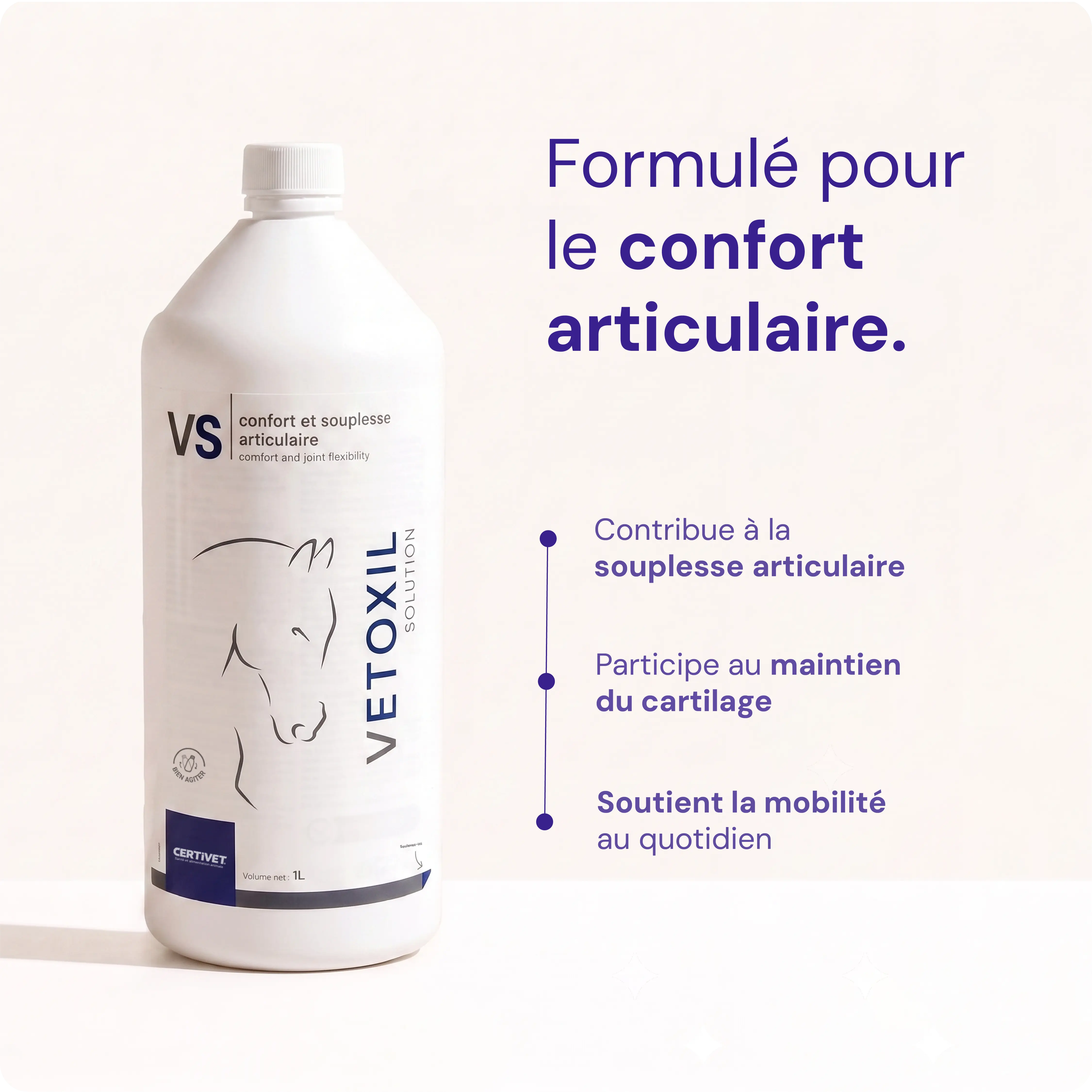 VETOXIL SOLUTION VETOXIL SOLUTION - Image 2