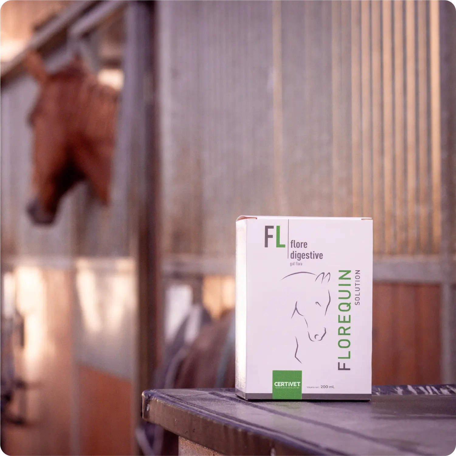 FLOREQUIN SOLUTION - Miniature 9