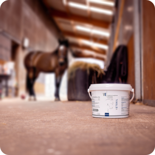 VETOXIL VETOXIL - Image 2