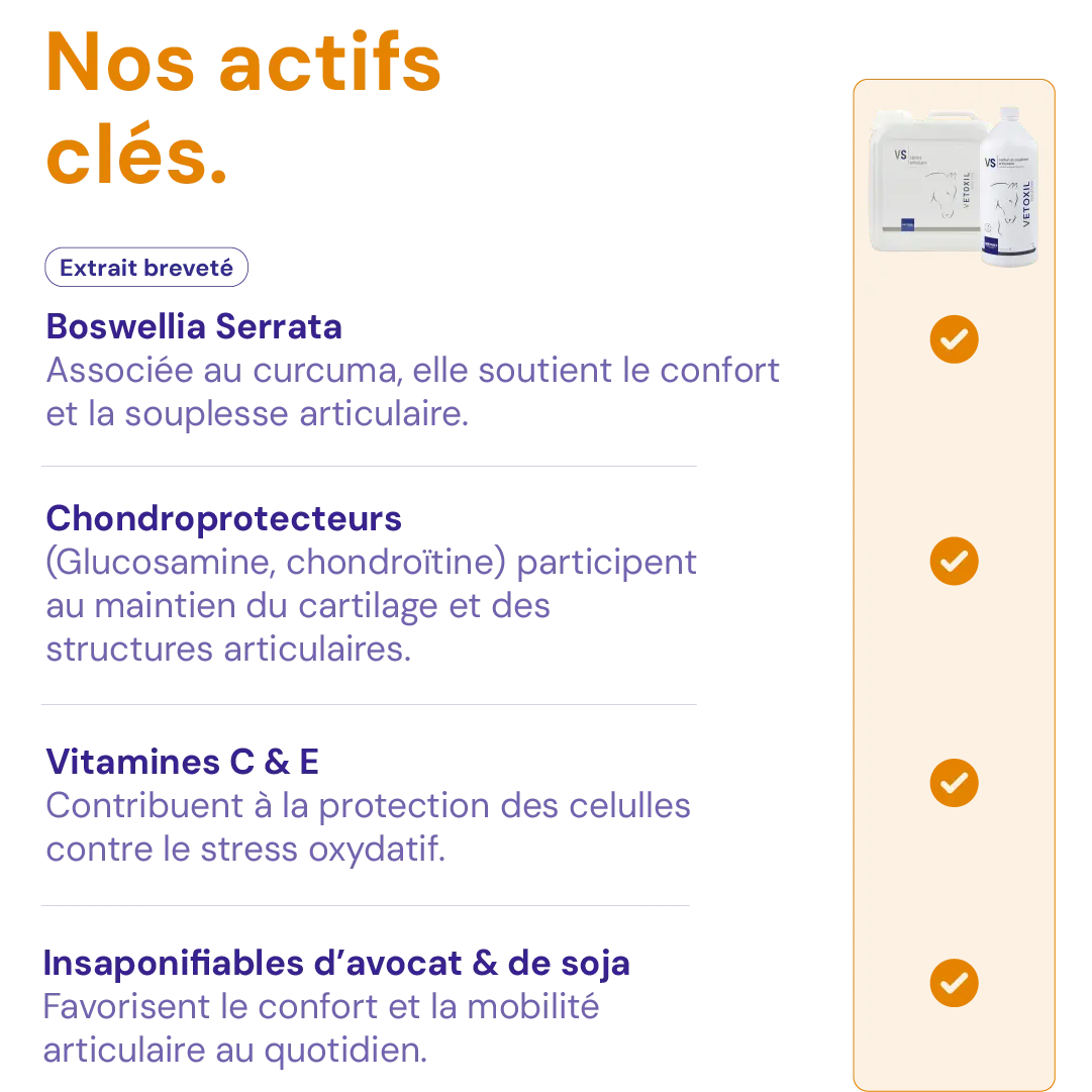 VETOXIL SOLUTION VETOXIL SOLUTION - Image 4