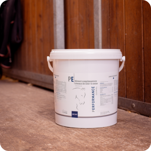 PERFORMANCE ESSENTIEL PERFORMANCE ESSENTIEL - Image 2