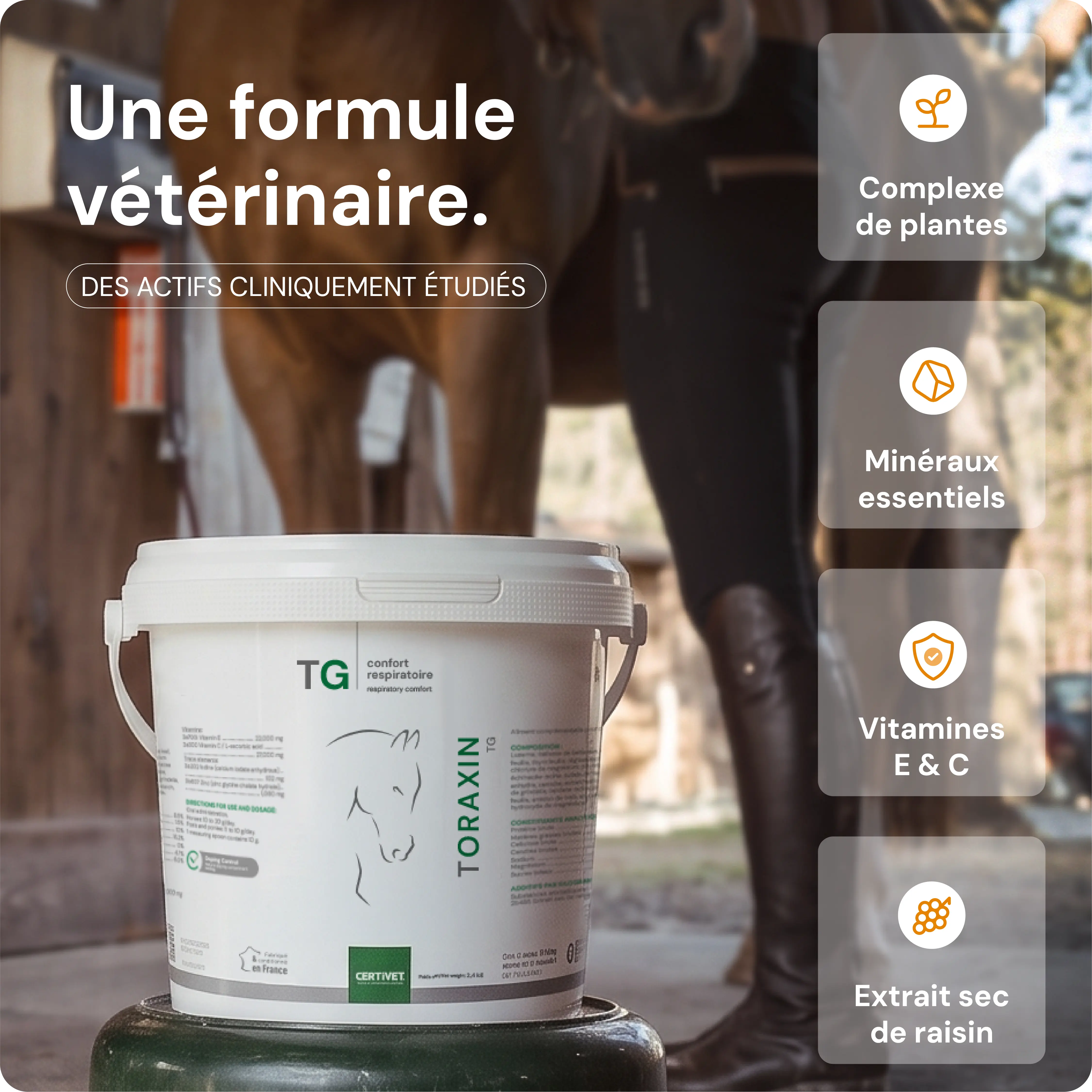 TORAXIN TG TORAXIN TG - Image 3