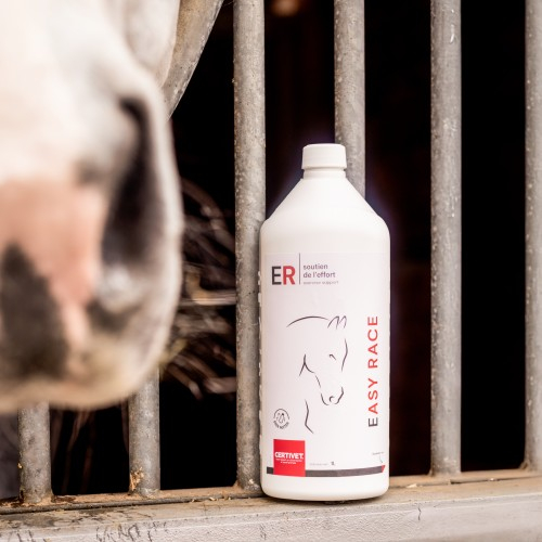 EASY RACE EASY RACE - Image 2